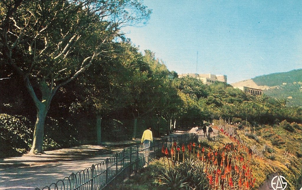 480-la Promenade de Letang.jpg